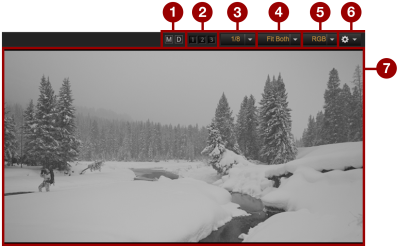 Viewer and Controls