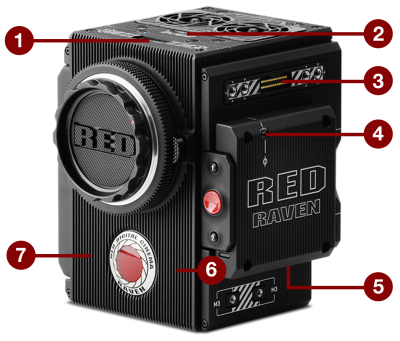 RED RAVEN BRAIN Ports and Features
